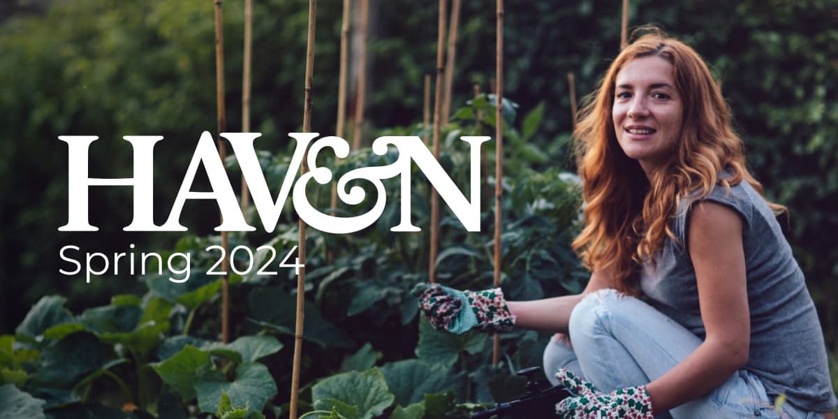 Read more about the article Welcome to the Spring 2024 edition of Haven