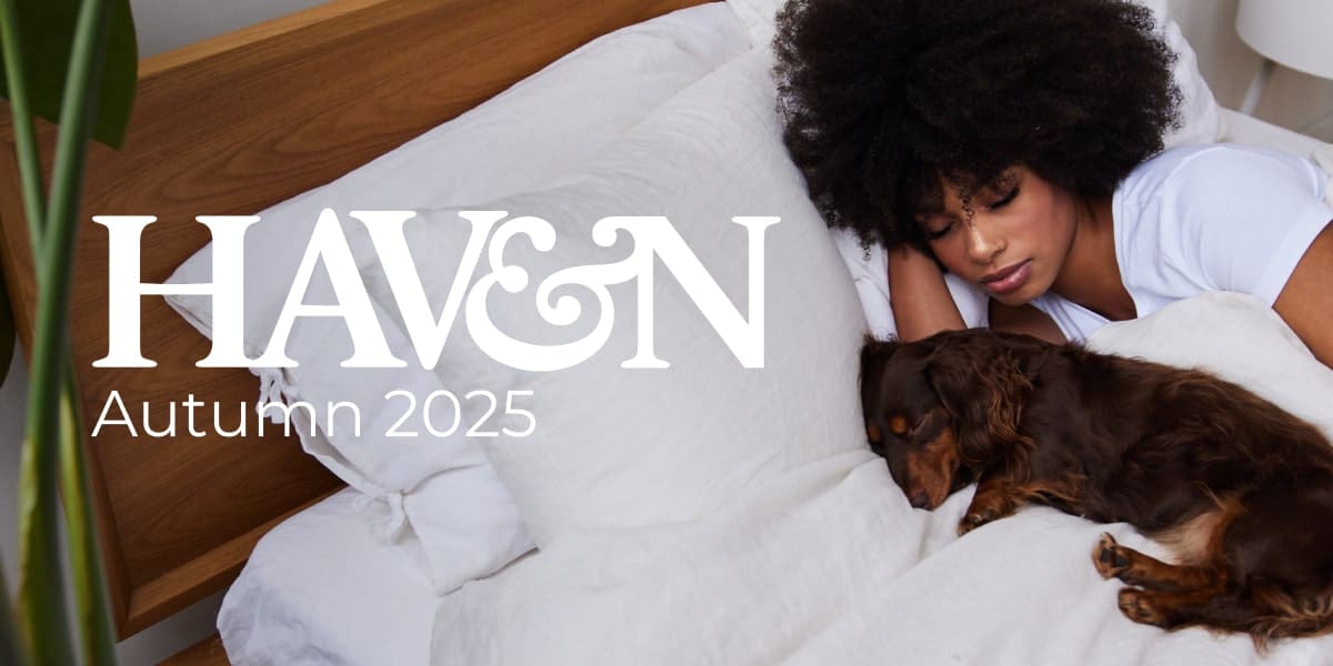 Read more about the article Welcome to the Autumn 2025 edition of Haven