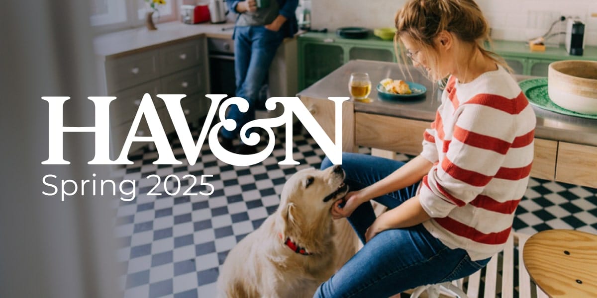 Read more about the article Welcome to the Spring 2025 edition of Haven